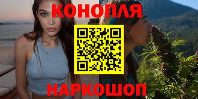 сатива Аргун